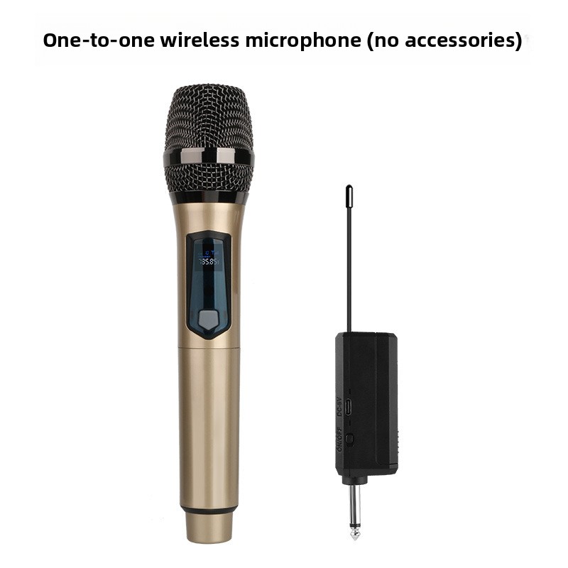 Drahtloses Mikrofon, 2 Kanäle, – Ribbon Microphone Bewertung und Preis