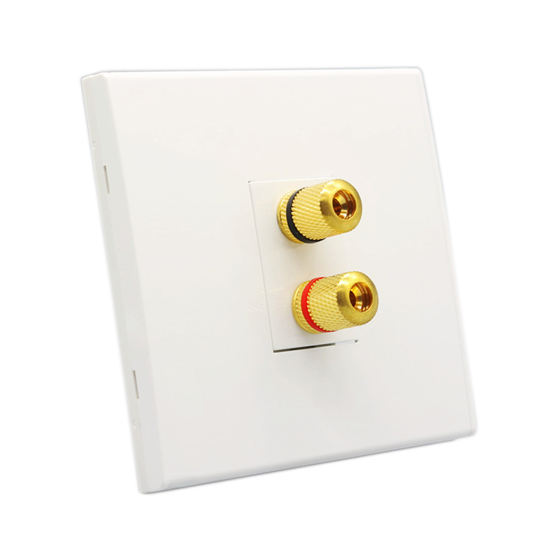 Audio Lautsprecher Wand Panel  – Banana Plug Bewertung und Preis