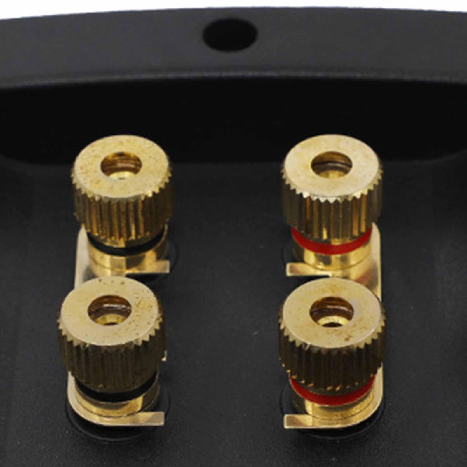 Hochleistungs-Kupfer-Lautsprec – Speaker Terminal Bewertung und Preis