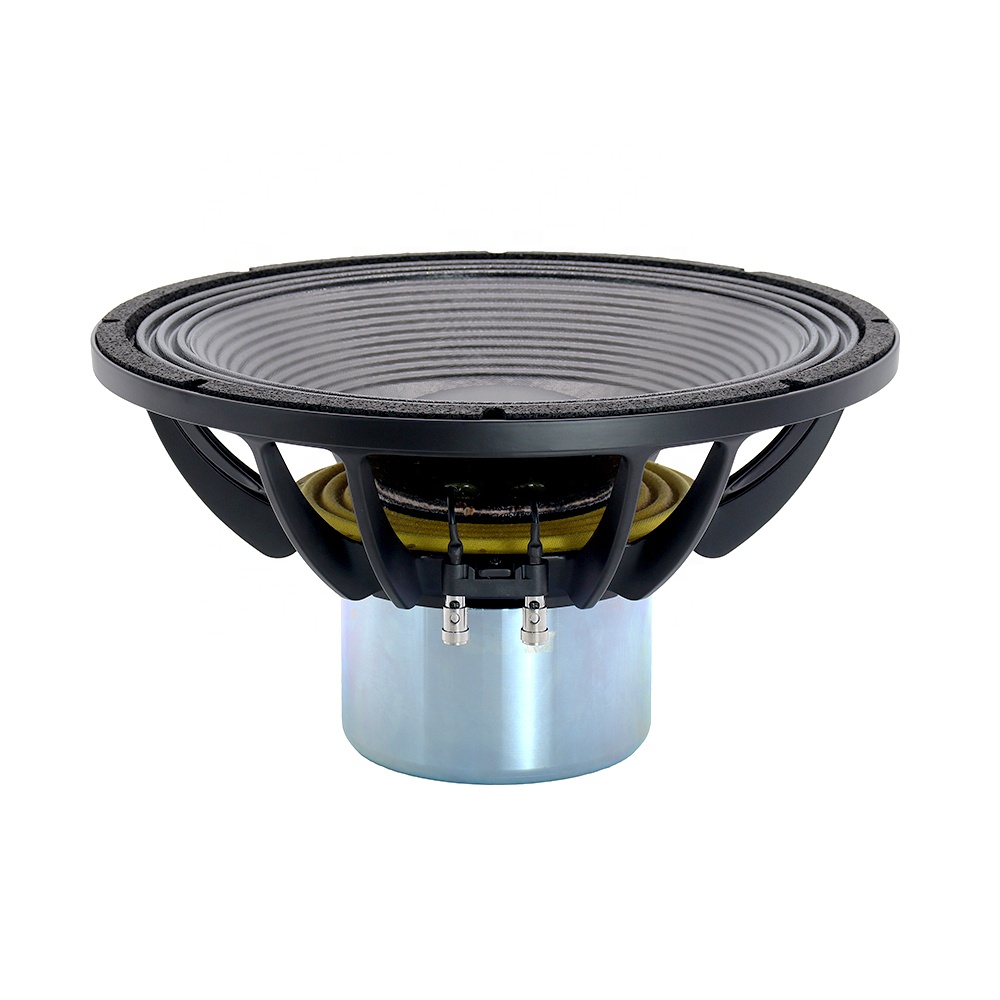 15IPAL Neuer Professioneller A – Subwoofer Bewertung und Preis