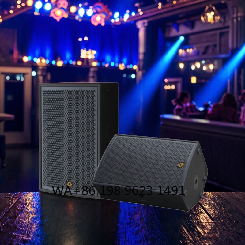 Hochleistungs-Fullrange Profes – Full Range Speaker Bewertung und Preis