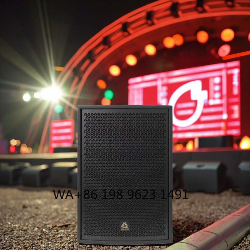 Hochleistungs-Fullrange Profes – Full Range Speaker Bewertung und Preis