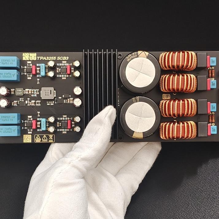 HIFI TPA3255 Leistungsverstärk – Hifi Amplifier Board Bewertung und Preis